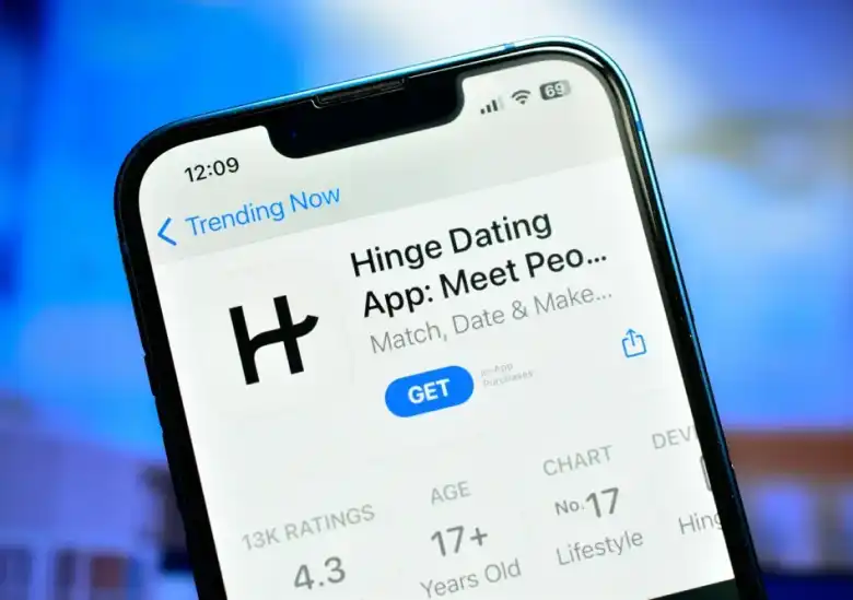HINGE_IMAGE