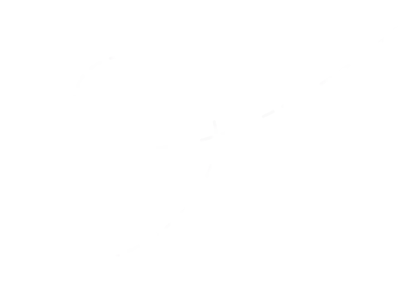white arrow1